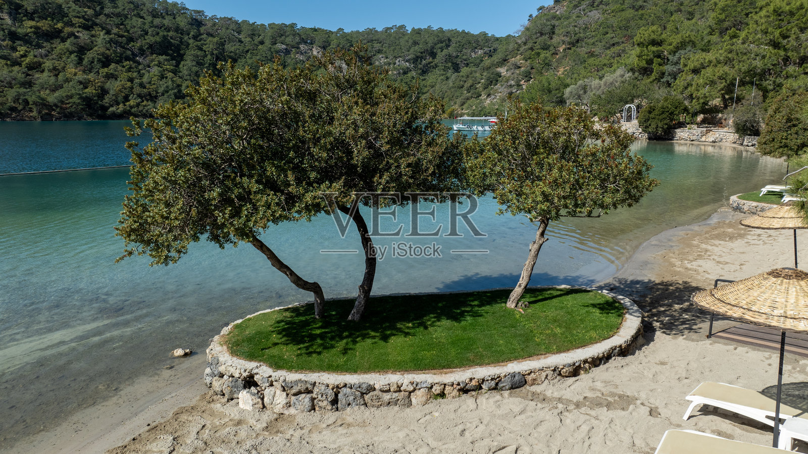 热带夏季海滩俱乐部照片摄影图片