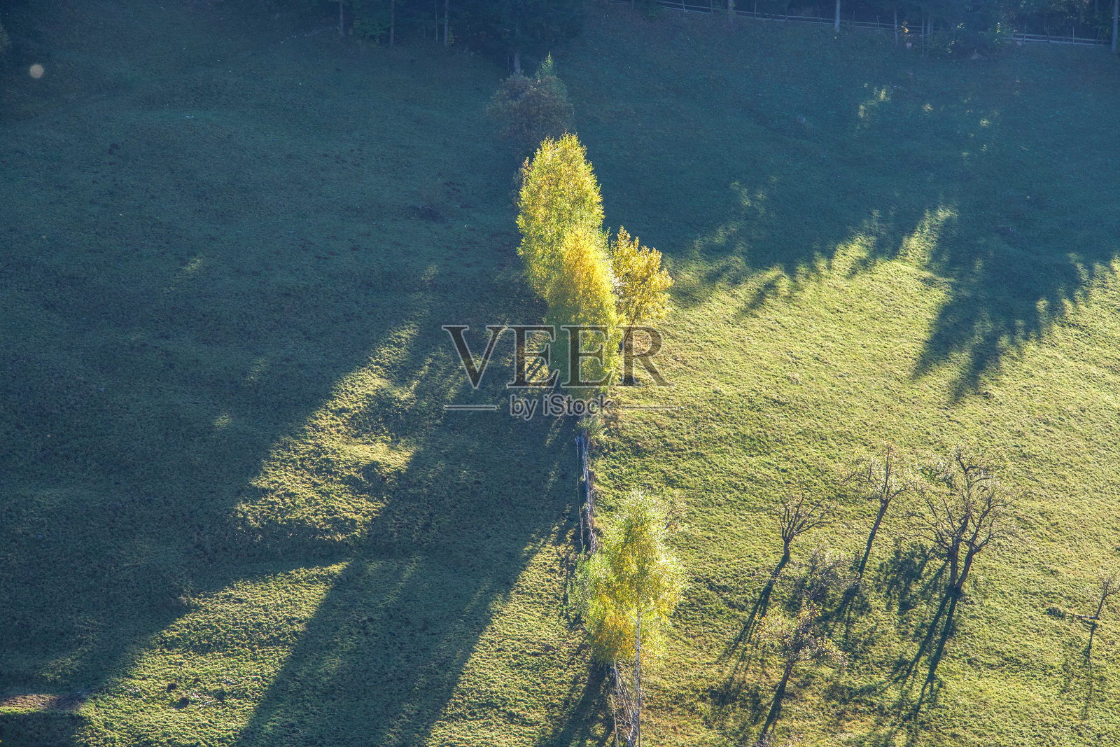 罗马尼亚布拉索夫的马古拉村照片摄影图片