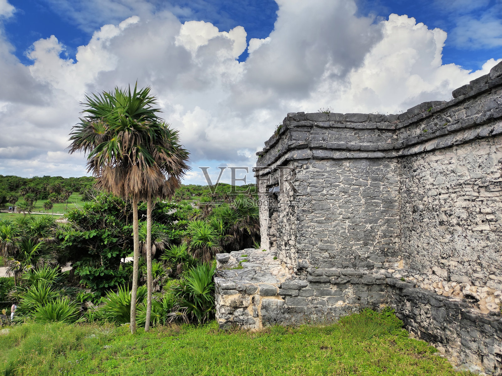 玛雅遗址。图卢姆,玛雅里维埃拉,金塔纳罗奥,尤卡坦半岛,墨西哥。照片摄影图片
