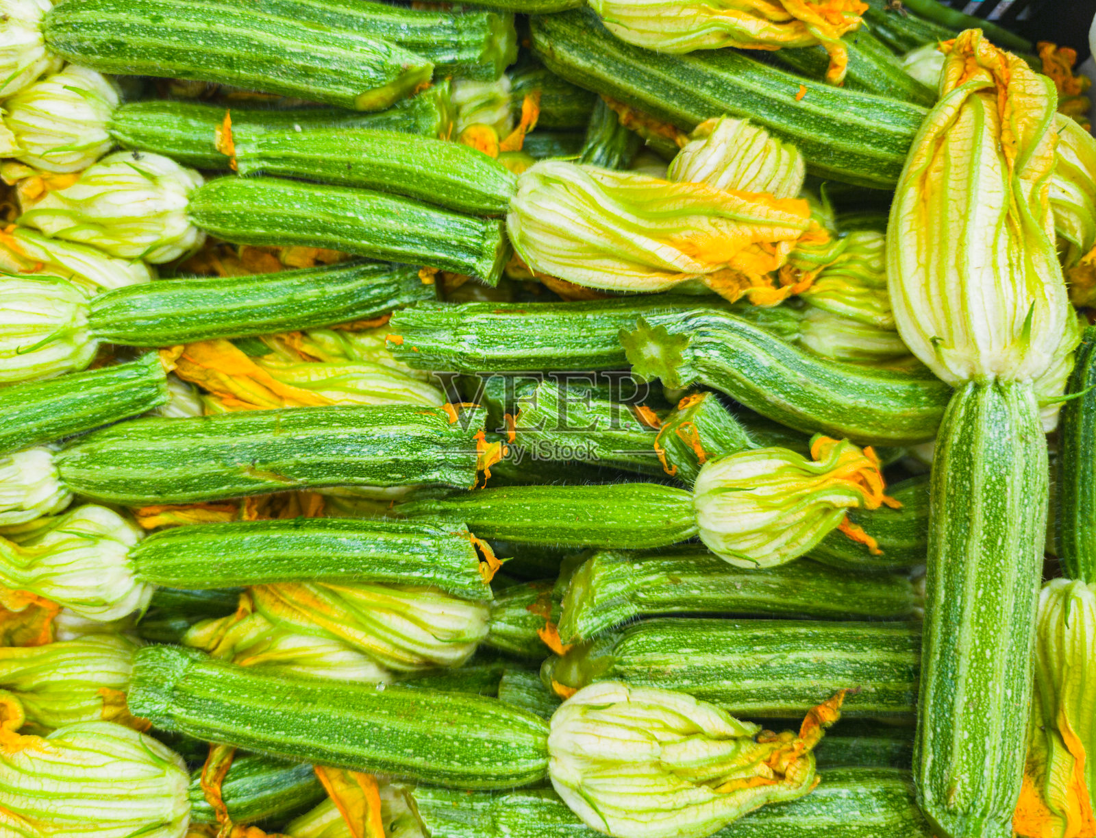 新鲜的年轻西葫芦果实与黄色花朵特写。照片摄影图片