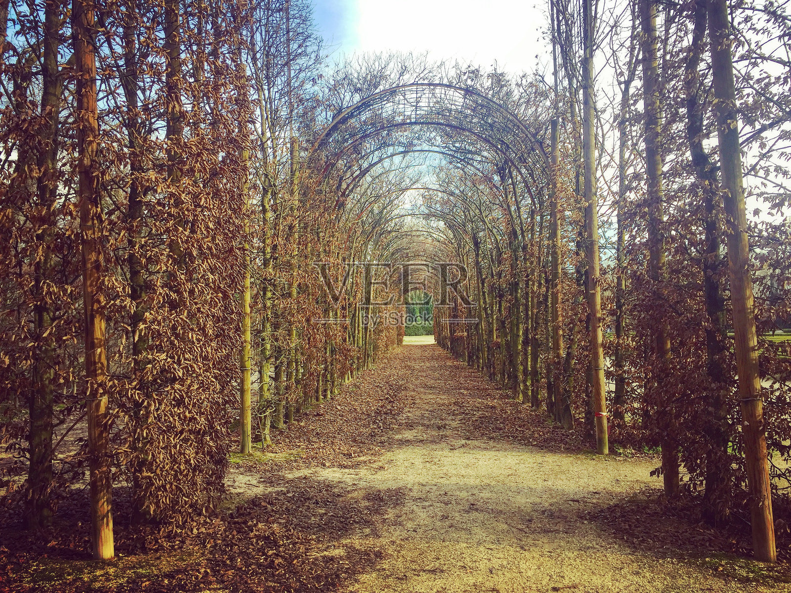 意大利佛罗伦萨的博波利花园照片摄影图片