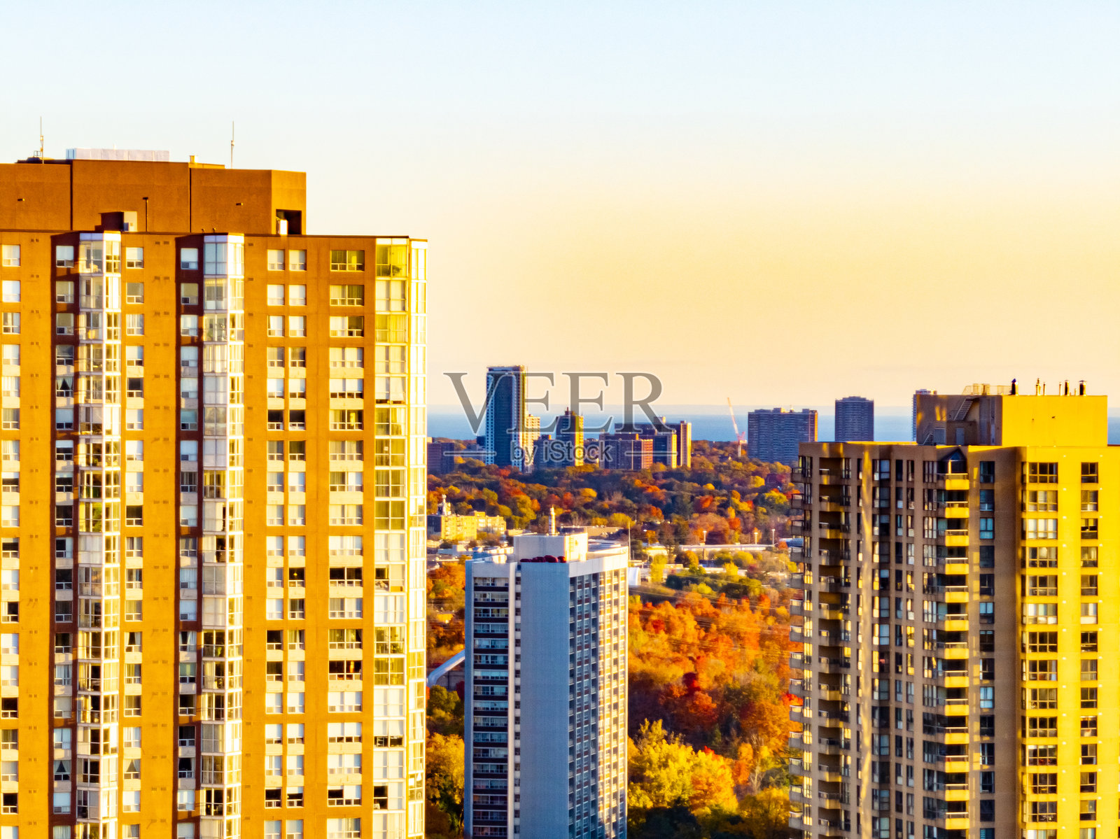 秋天的多伦多市中心景色,加拿大多伦多照片摄影图片