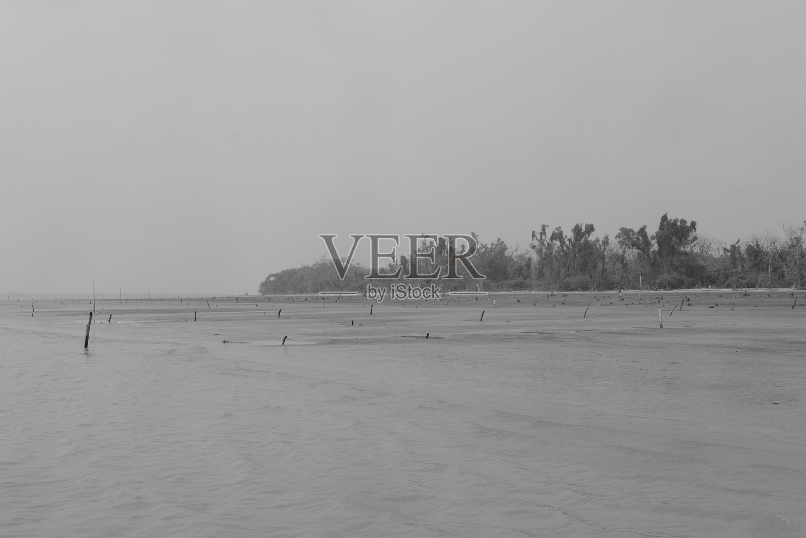 海边公路照片摄影图片