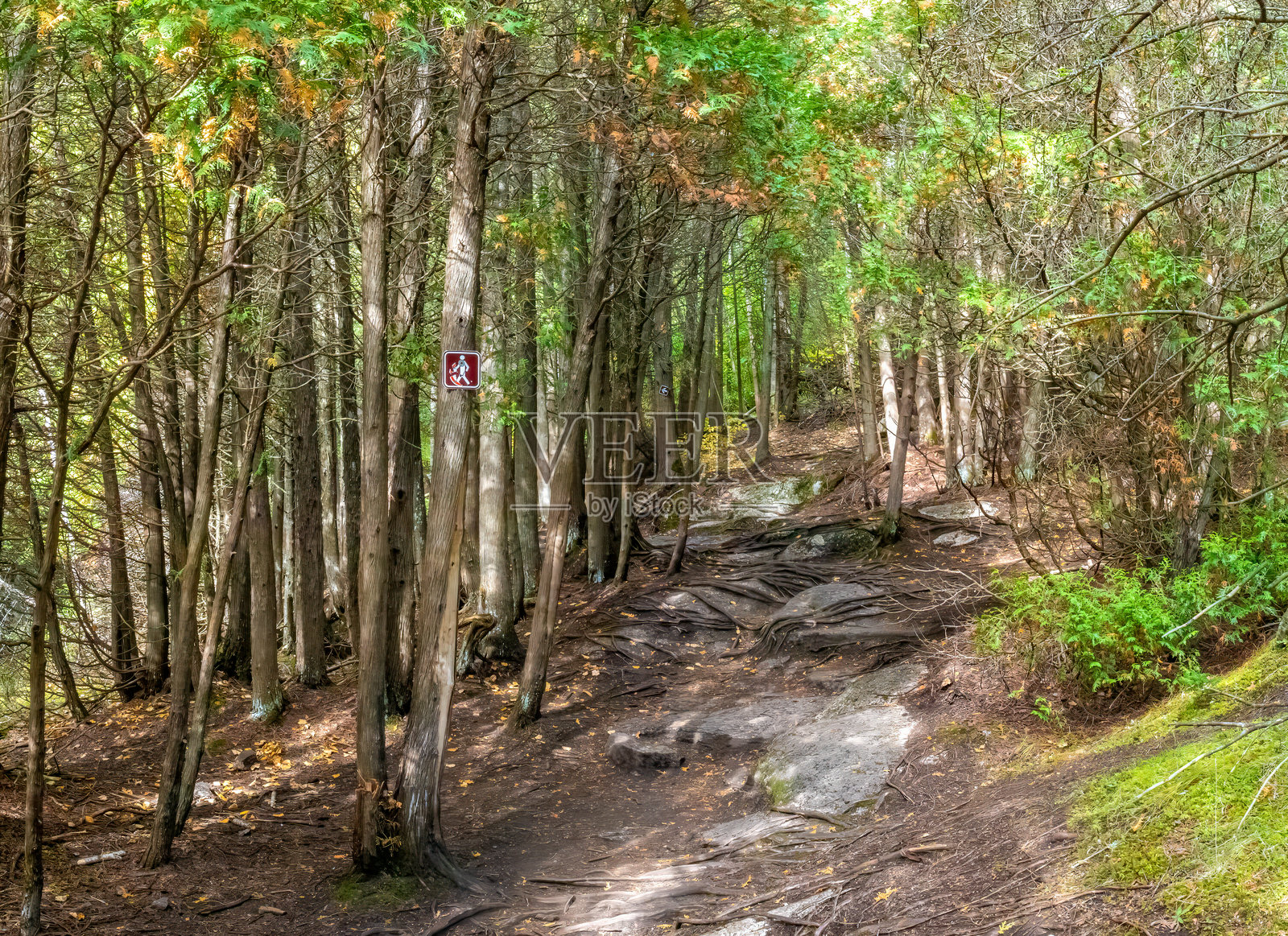 在加拿大魁北克省萨格奈峡湾的拉贝徒步旅行,走在尤歇小径上照片摄影图片