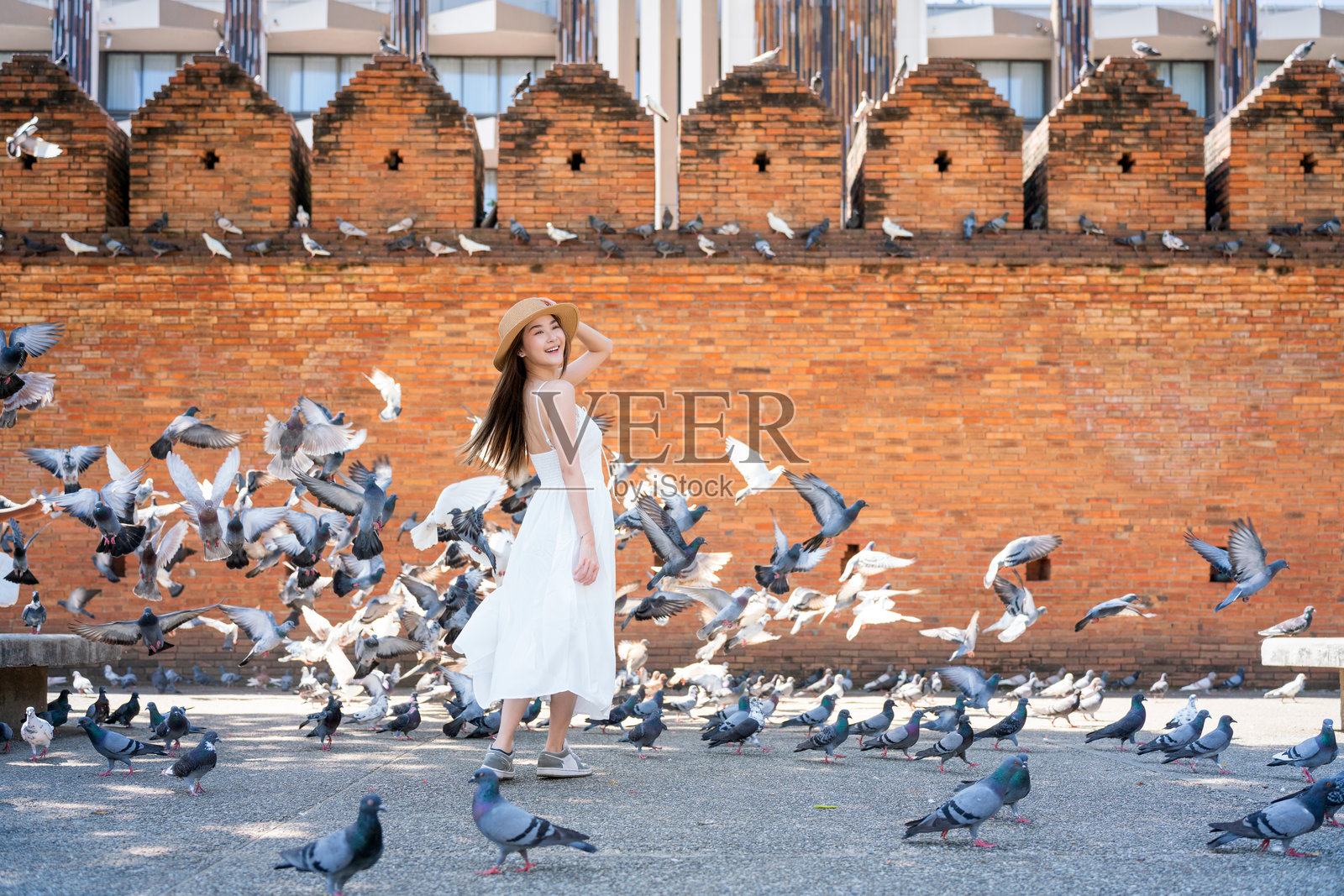 快乐的亚洲女性在清迈塔佩门的历史砖墙前被飞翔的鸽子包围照片摄影图片