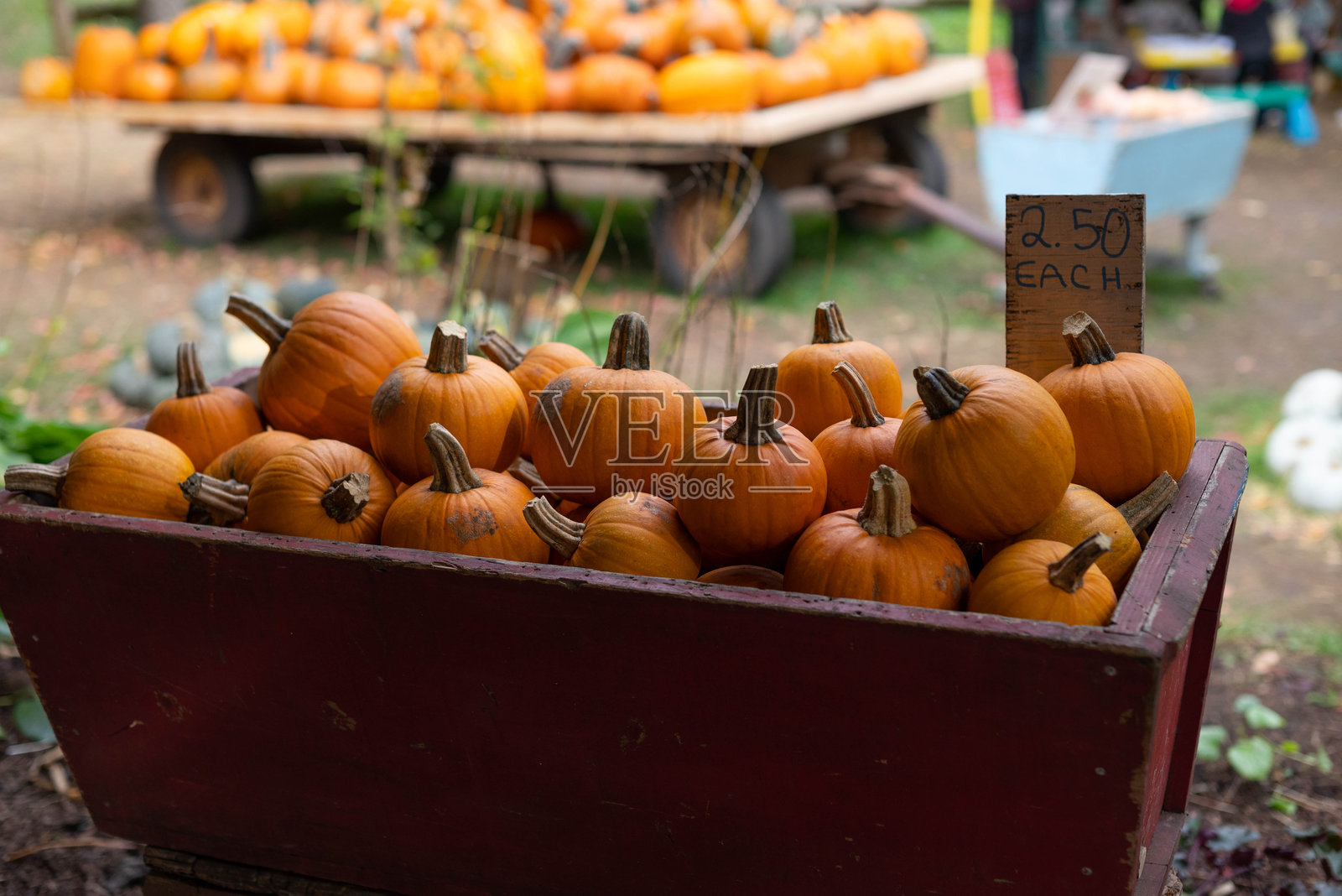 农贸市场出售南瓜照片摄影图片