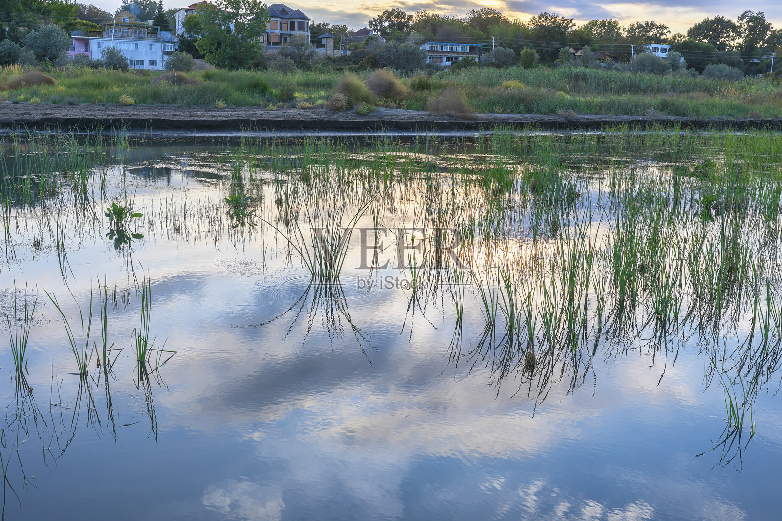 里海被淹没的海岸照片摄影图片