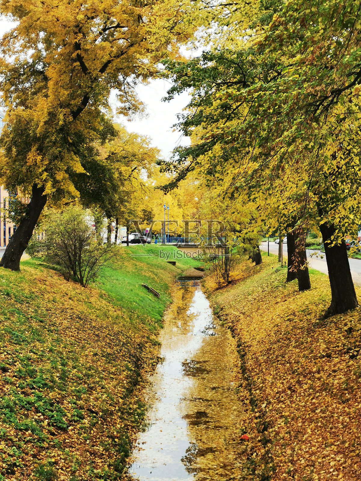 溪流、公园、非常、桥照片摄影图片