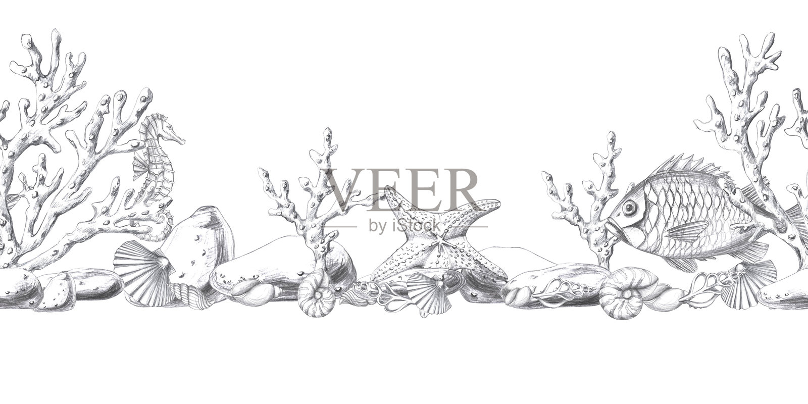 无缝边框,包含水下生物、珊瑚和贝壳。独立的铅笔图形插图,适用于明信片、纺织品、餐厅装饰和海洋派对邀请函。照片摄影图片