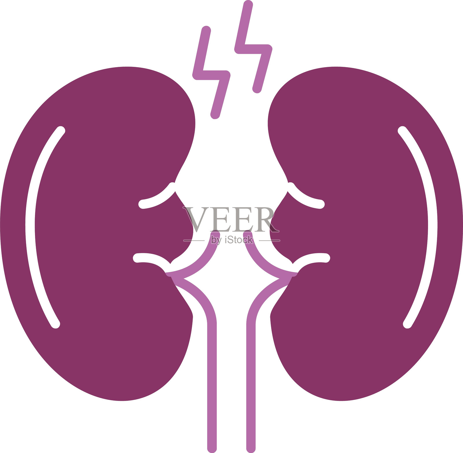 肾脏图标双色设计插画图片素材