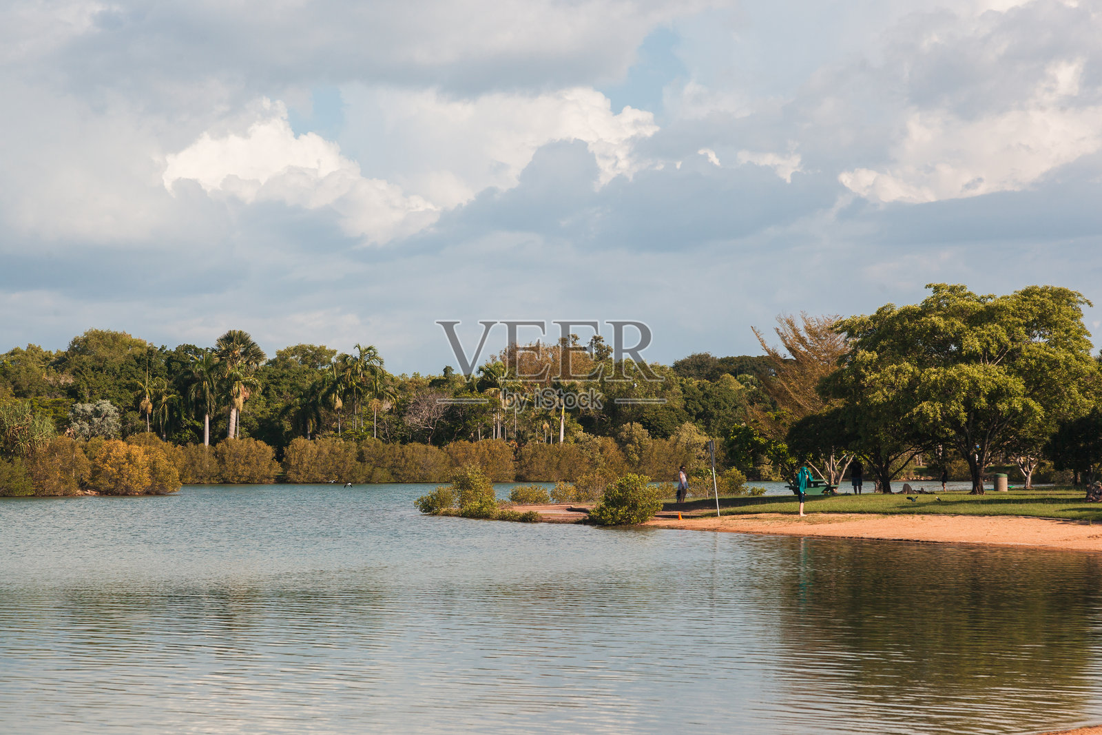 在阳光明媚的日子里,探索澳大利亚北领地达尔文的宁静风景照片摄影图片