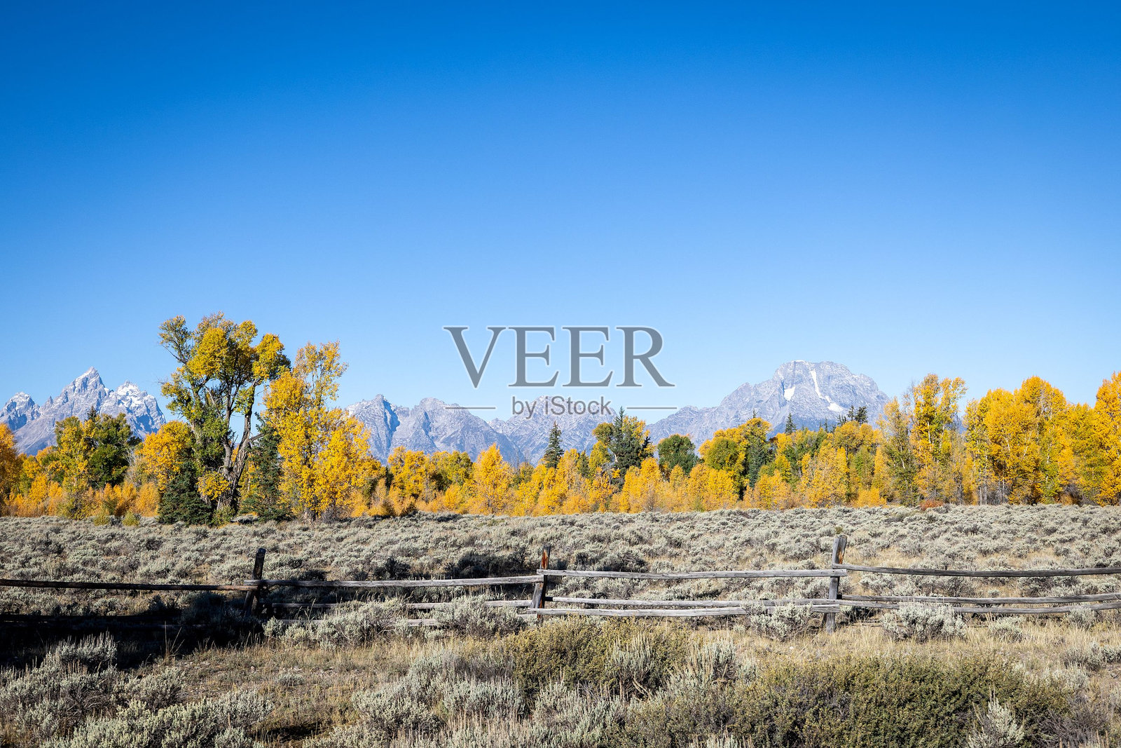 大提顿国家公园的秋季色彩照片摄影图片