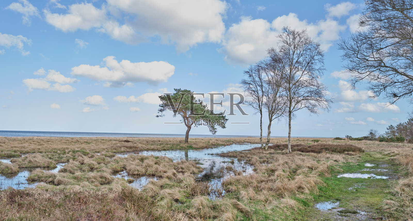 晚夏和五彩斑斓的秋天树木。橙色和黄色的秋叶。秋季背景。自然的秋天景色,公园或森林中的树木上挂满了黄色和橙色的叶子。九月和十月的鼓舞人心的自然景观。照片摄影图片