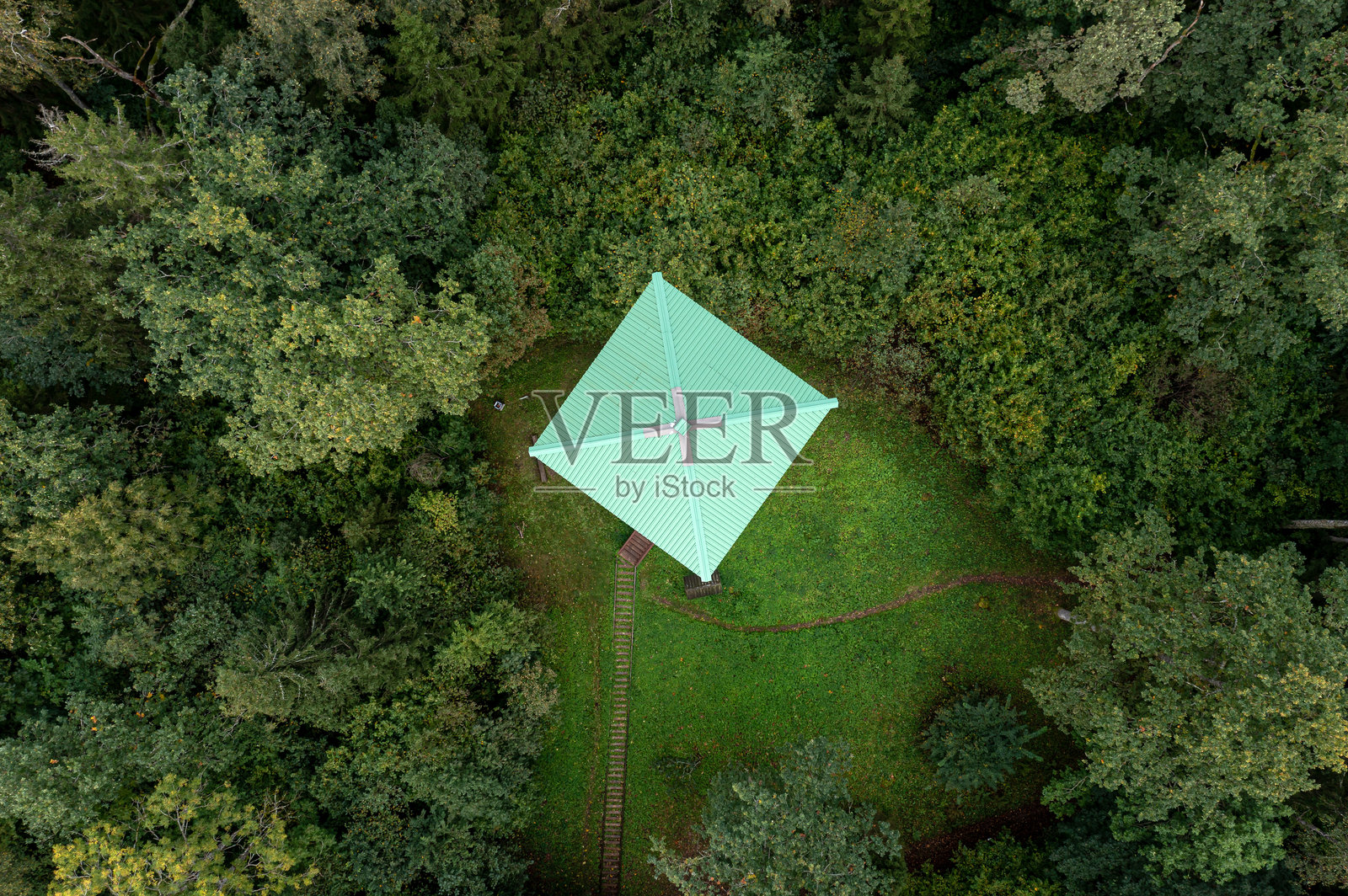 白天时分,俯瞰被郁郁葱葱的森林环绕的观察塔小屋。照片摄影图片