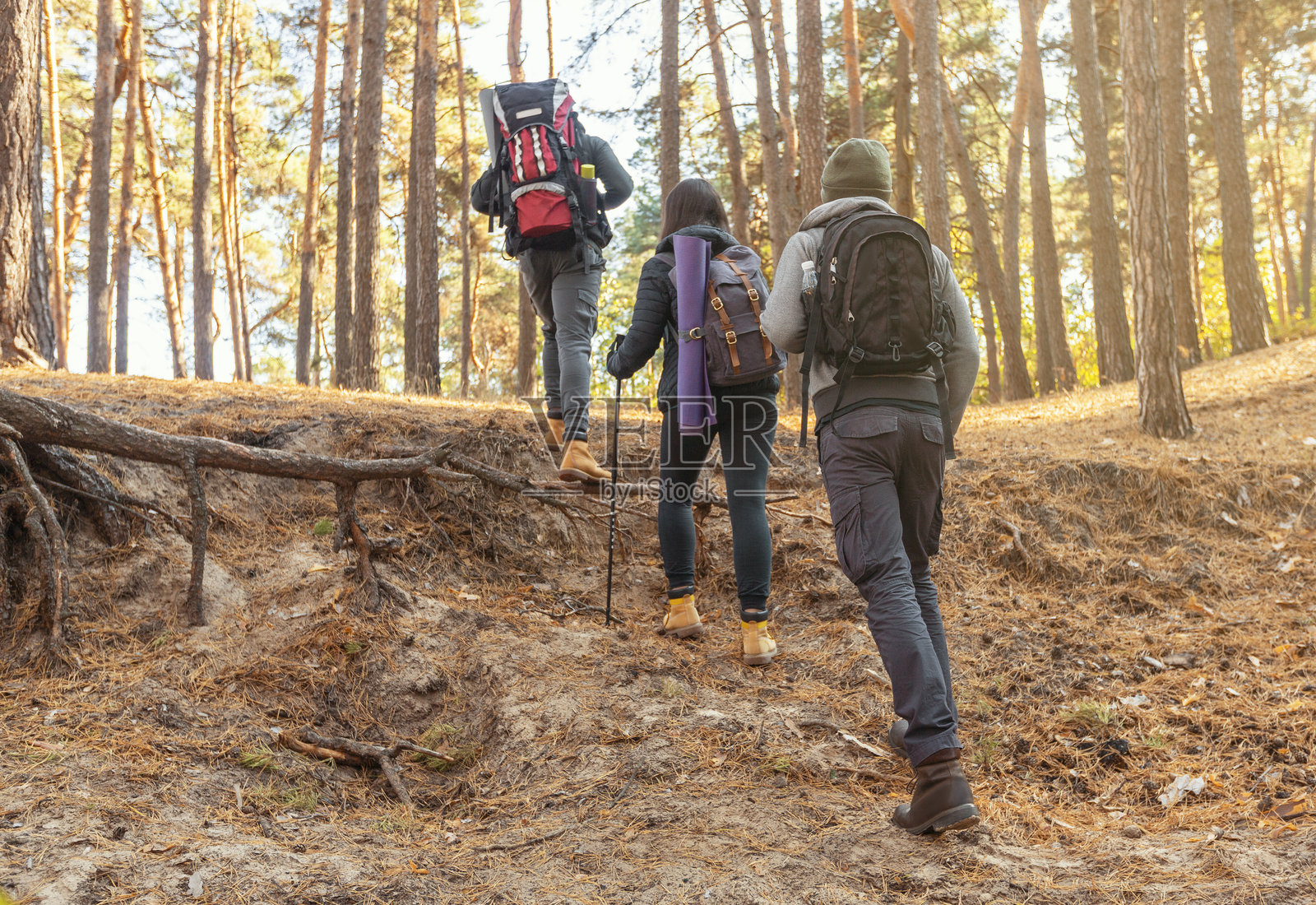 森林中徒步旅行团队的背影照片摄影图片