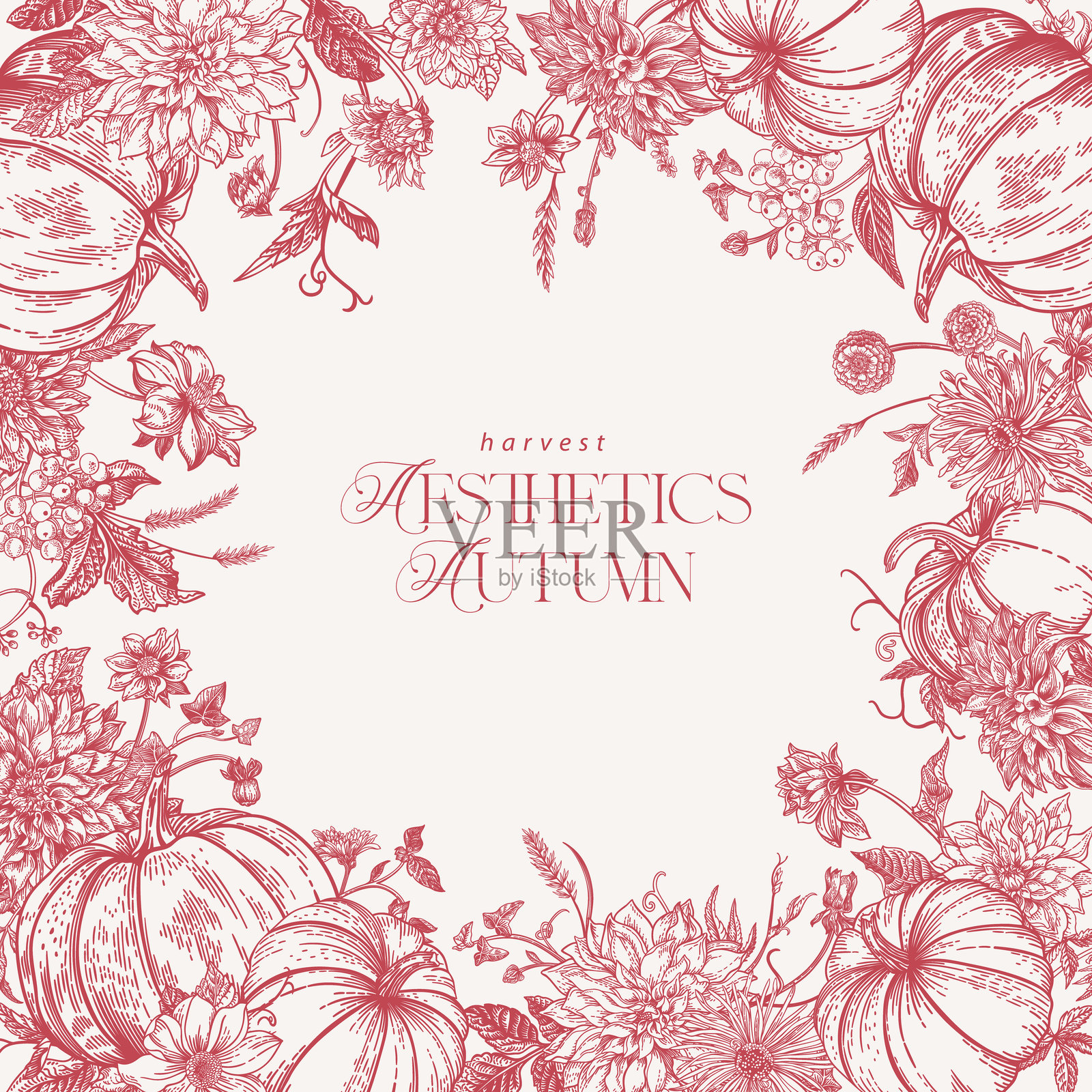 方形花卉框架。雕刻艺术插画图片素材