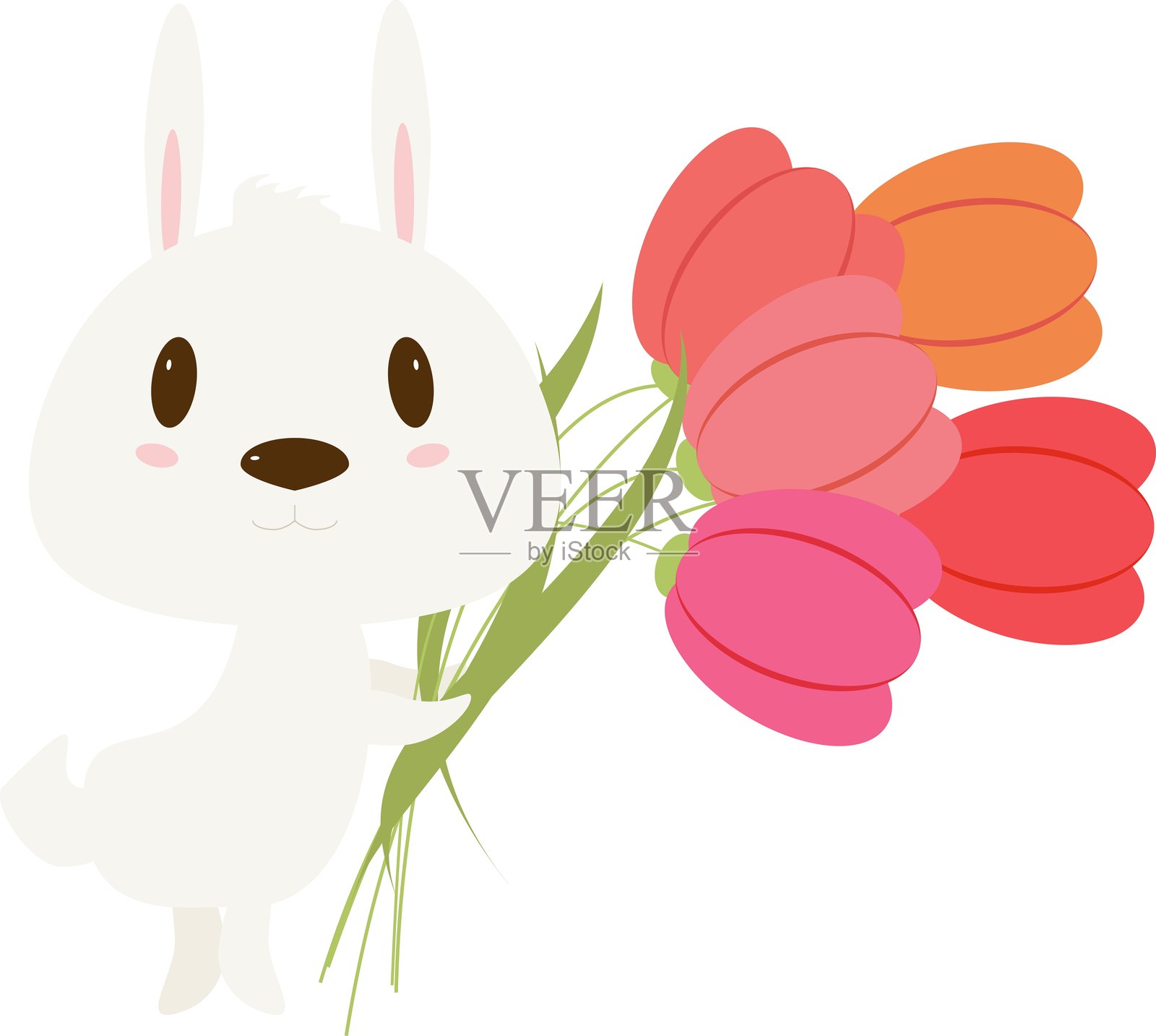 复活节兔子与郁金香在白色背景上孤立展示插画图片素材