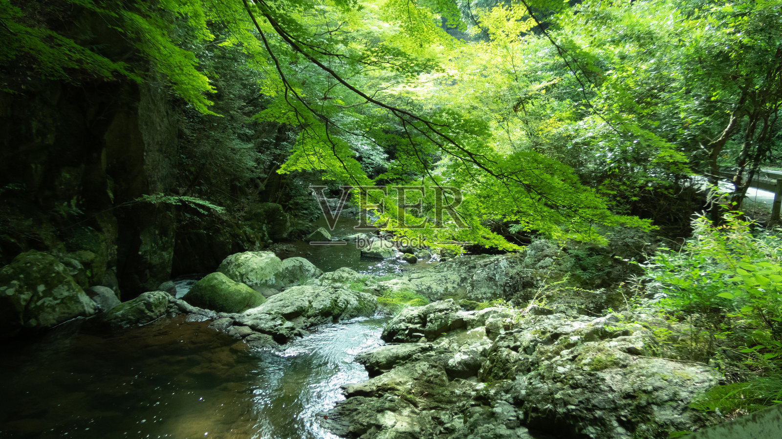 一条清凉的河流照片摄影图片