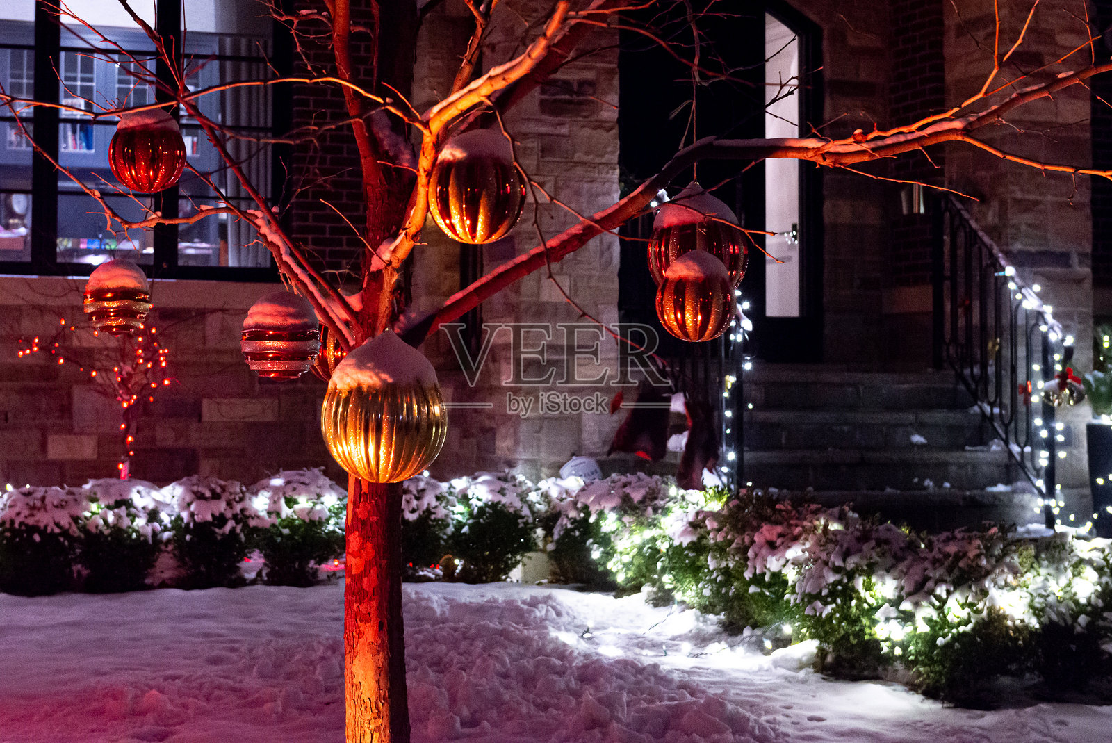 美国的圣诞房屋装饰照片摄影图片