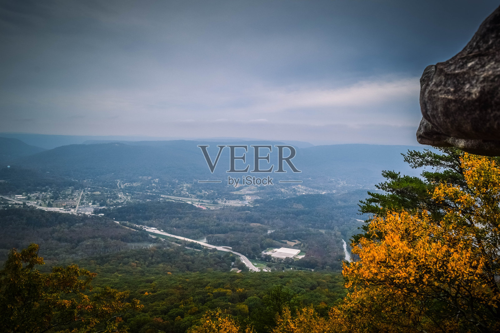 秋季天空下的森林美景照片摄影图片