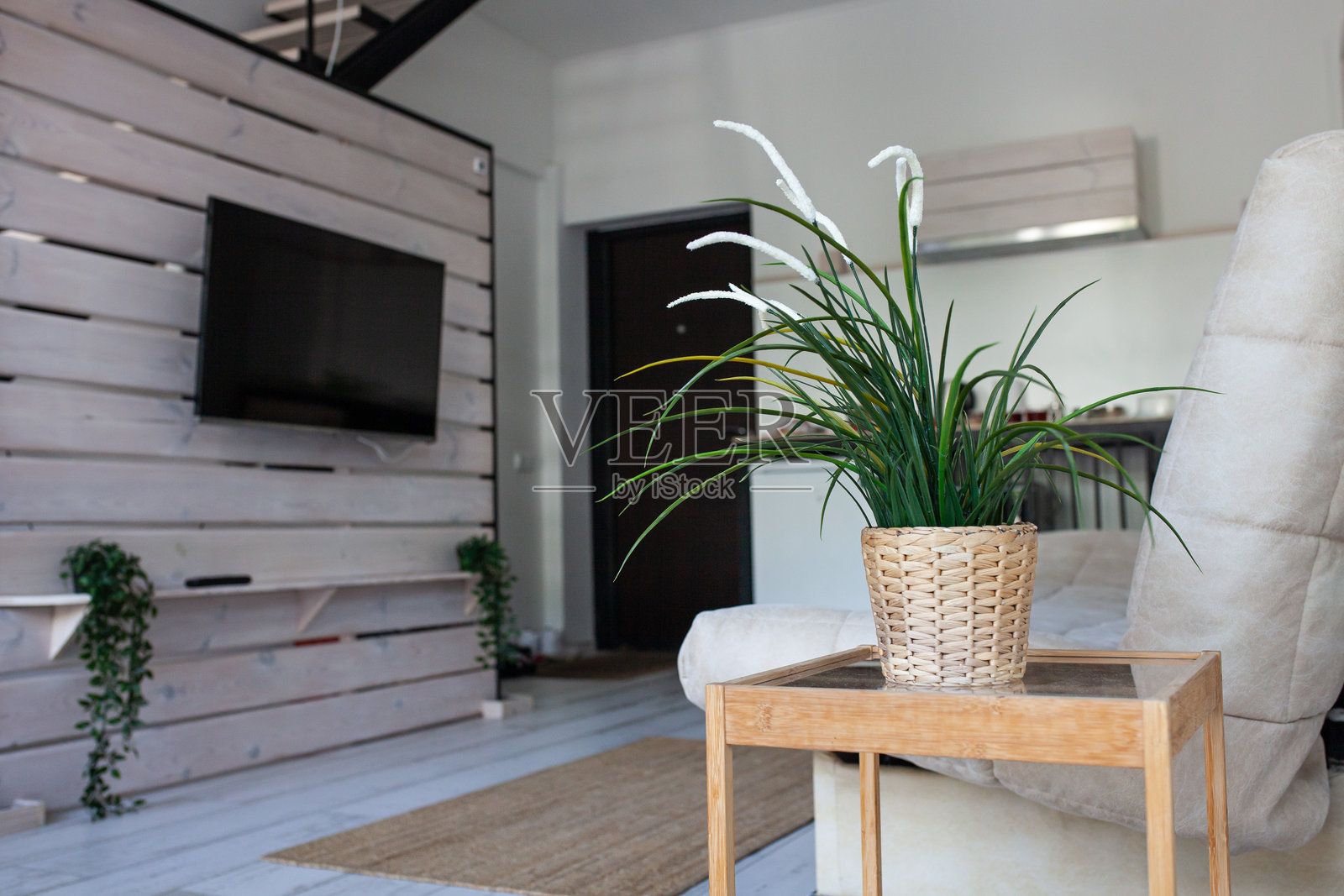 时尚现代的公寓室内,配有沙发、电视和绿色植物,环保公寓,木地板和家具。照片摄影图片