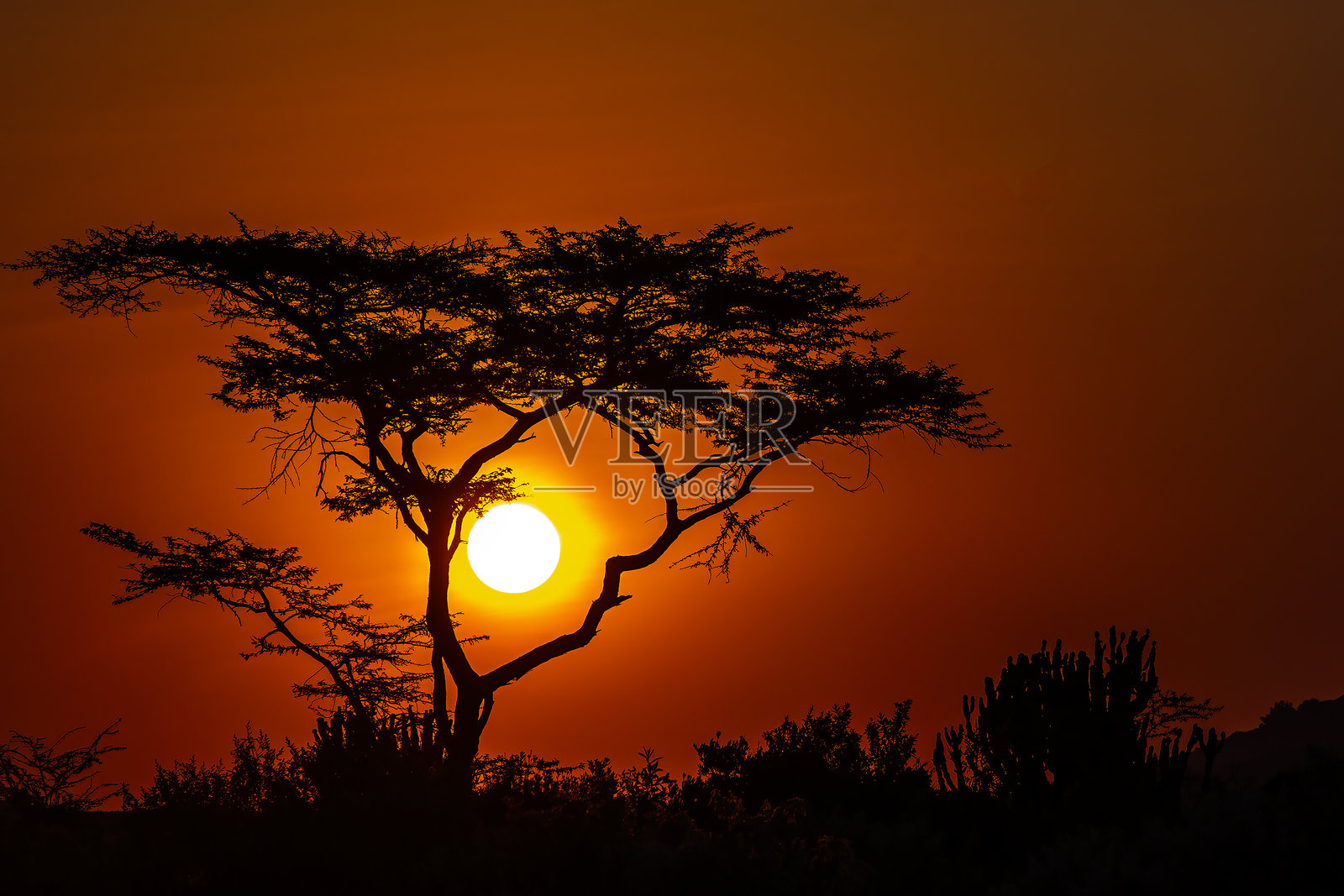 马赛马拉的日出照片摄影图片