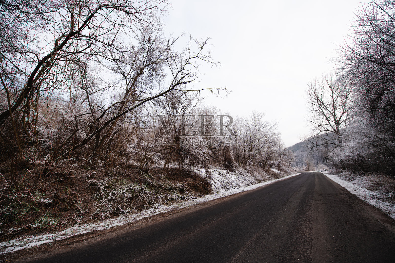 冬季道路穿过光秃的树木和雪白的景观照片摄影图片