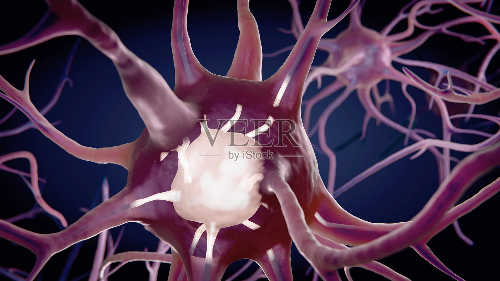 大脑中的神经元宏观动画。细胞发送电信号和化学信号。3D渲染动画。照片摄影图片