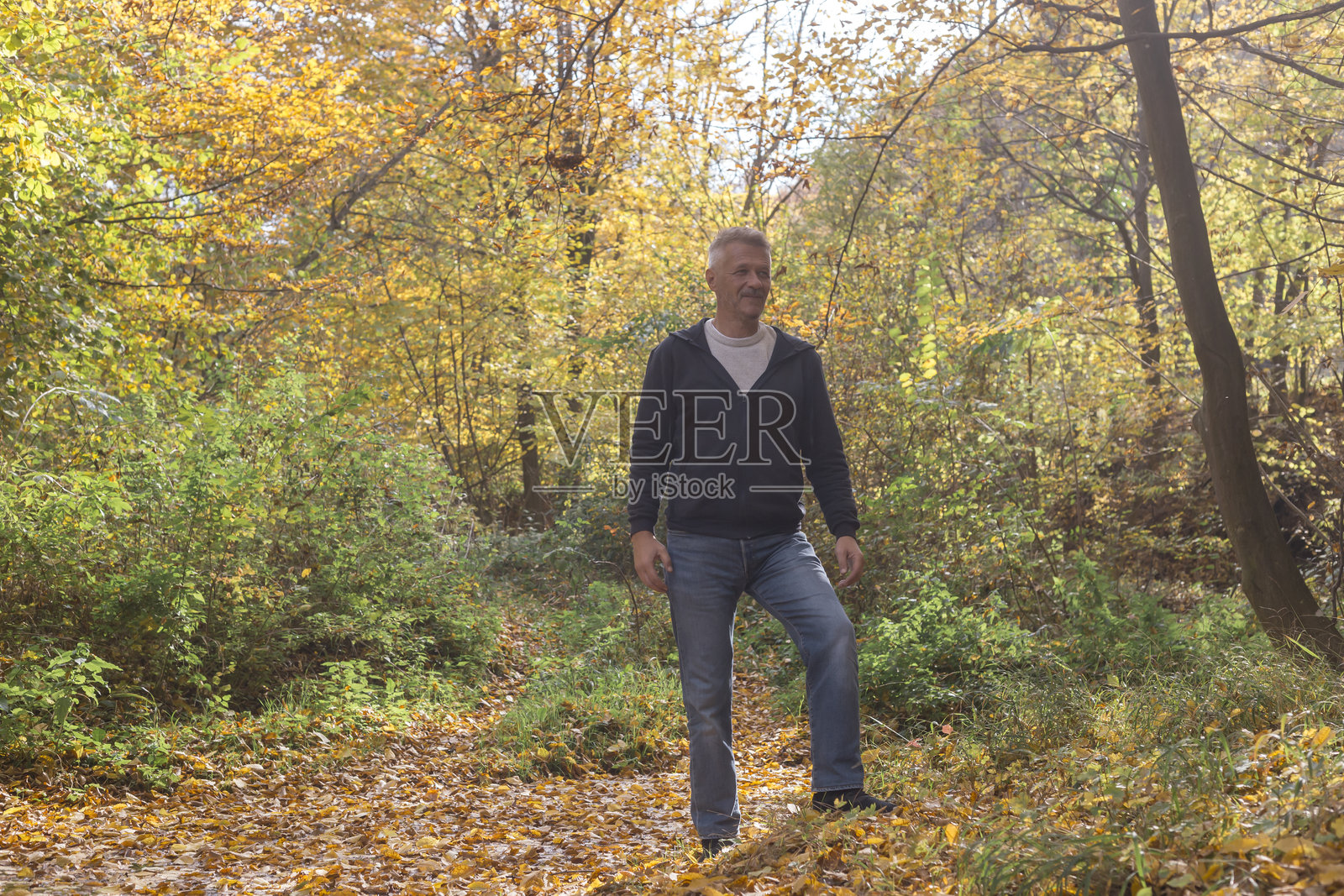 森林沐浴与冥想照片摄影图片