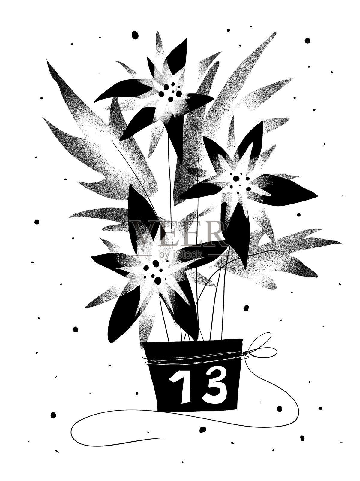 模板插图圣诞倒计时日历:三朵一品红花,编号13天照片摄影图片