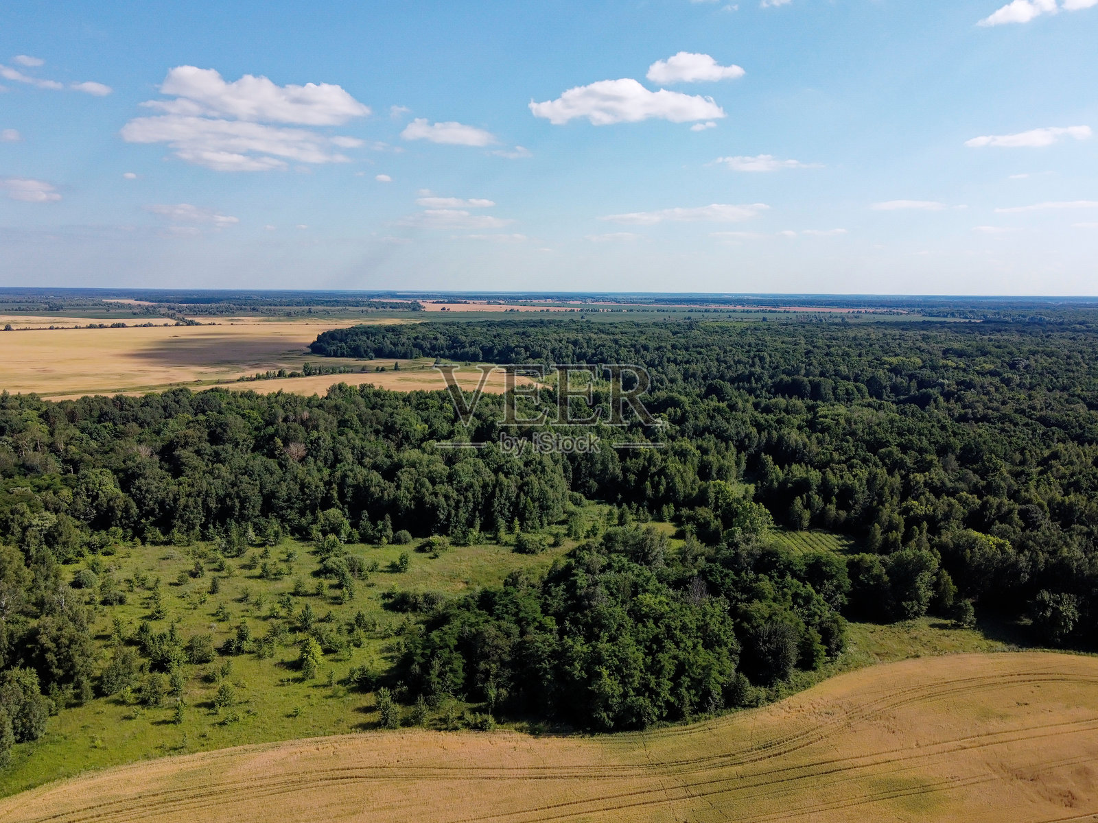 农田旁的绿色落叶林。鸟瞰视角的风景。阳光明媚的天气。照片摄影图片