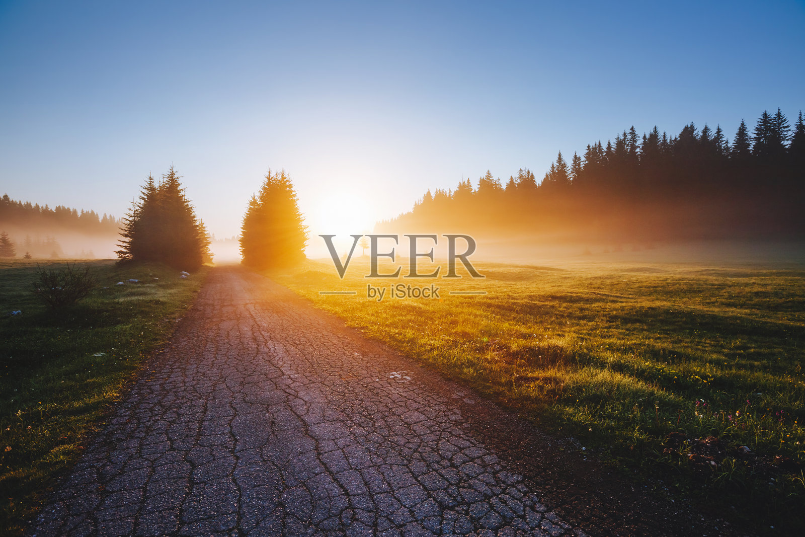 阳光下的梦幻雾气草地。地点:黑山杜尔米托国家公园。照片摄影图片