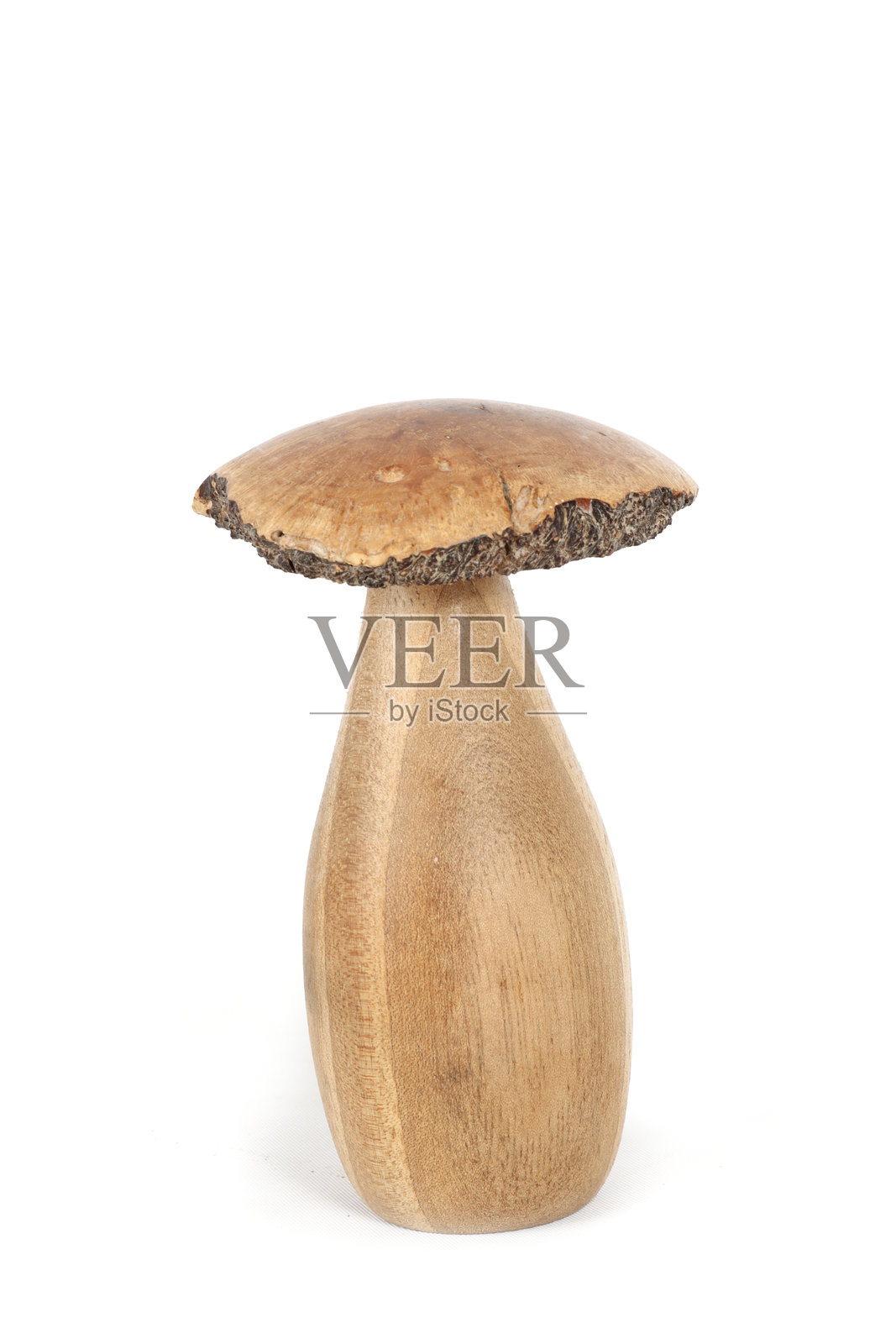 蘑菇照片摄影图片