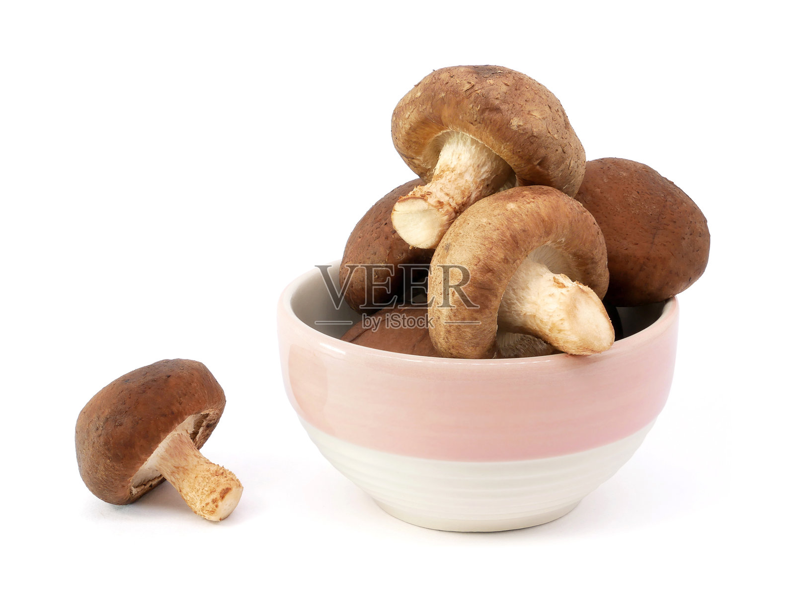 新鲜香菇放在碗中,背景为白色。照片摄影图片