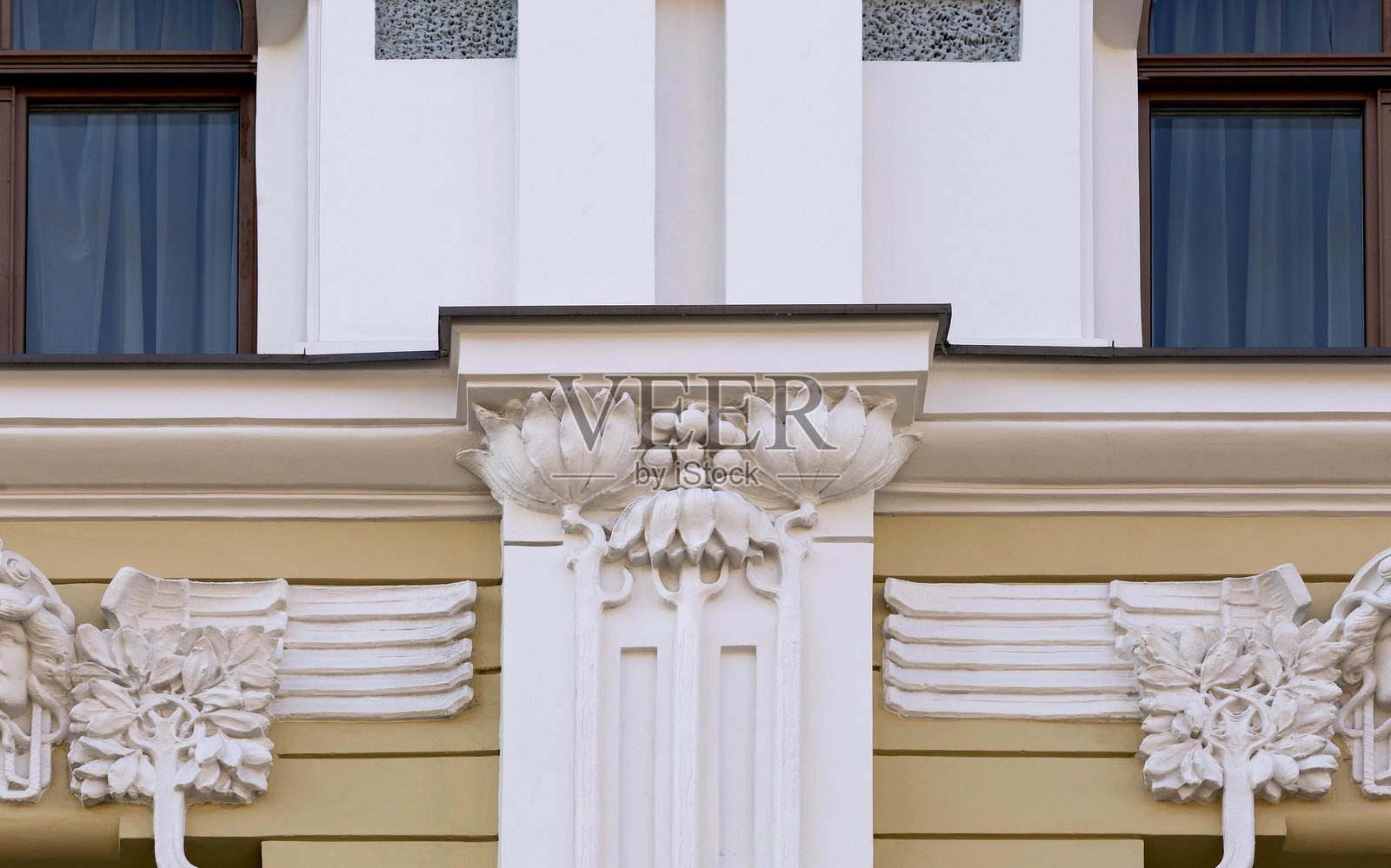 翅膀旁边的花卉元素细节照片摄影图片