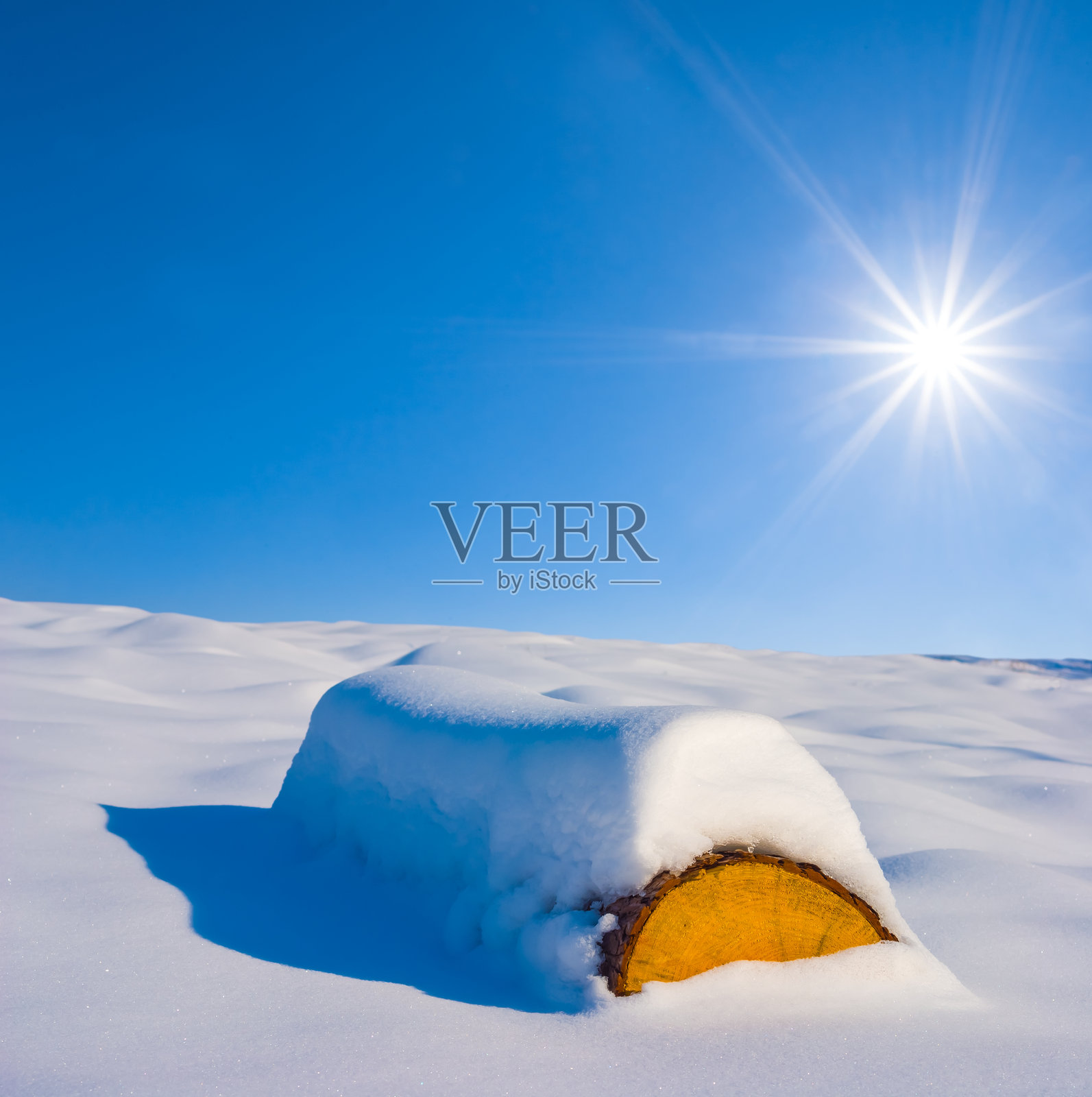 阳光明媚的冬日,雪覆盖的森林空地上,近距离拍摄的树木原木。照片摄影图片