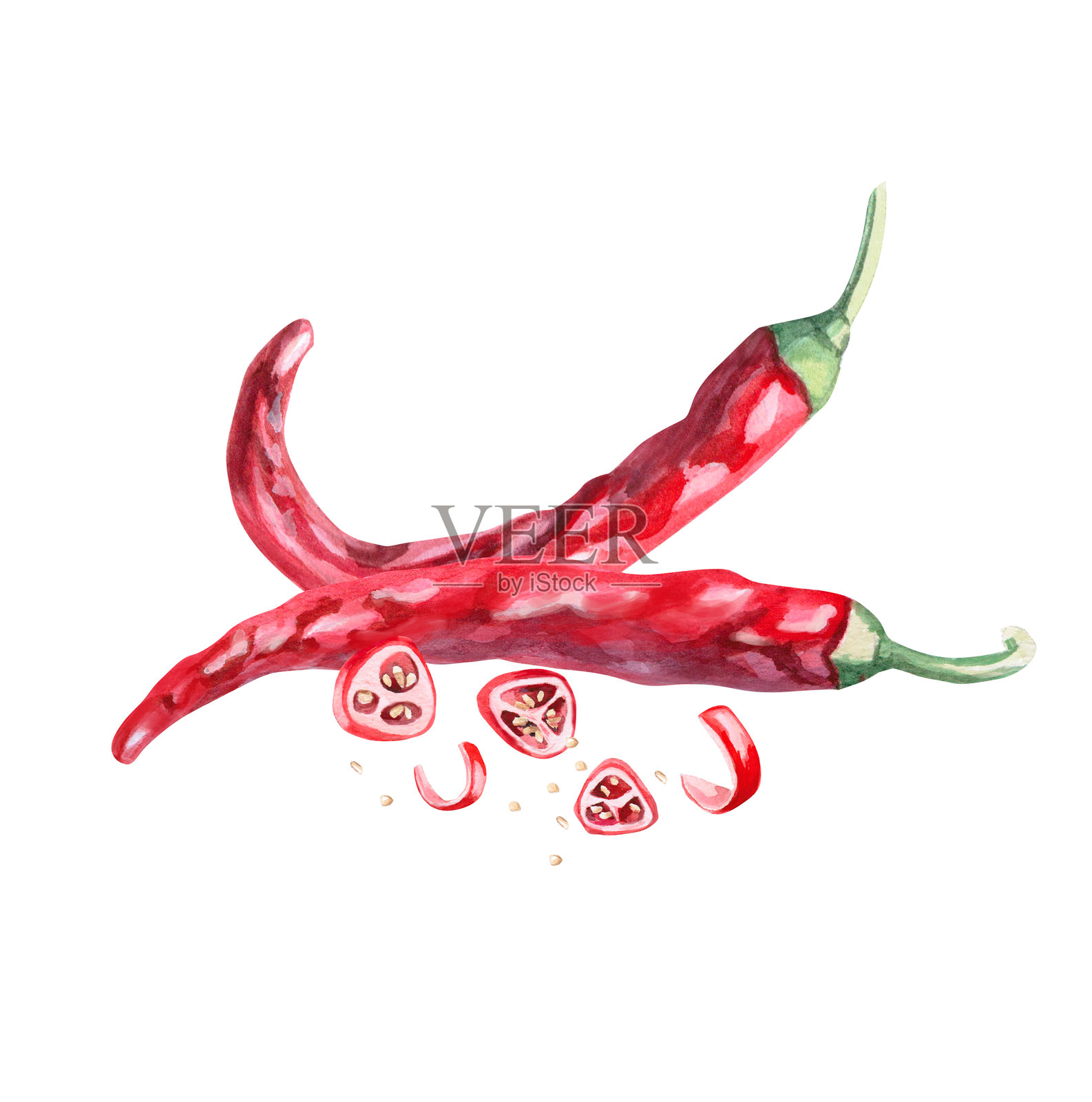 整套完整的辣椒和切片,孤立的水彩插图,适用于香料包装设计、食谱、面料印刷、餐厅印刷设计、餐具和厨房用品。照片摄影图片