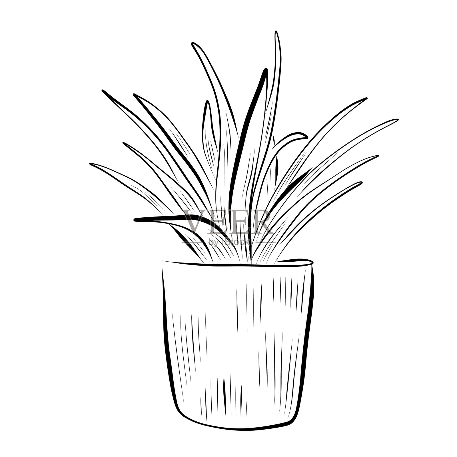 线条画。花盆中的植物线条艺术。矢量图。插画图片素材