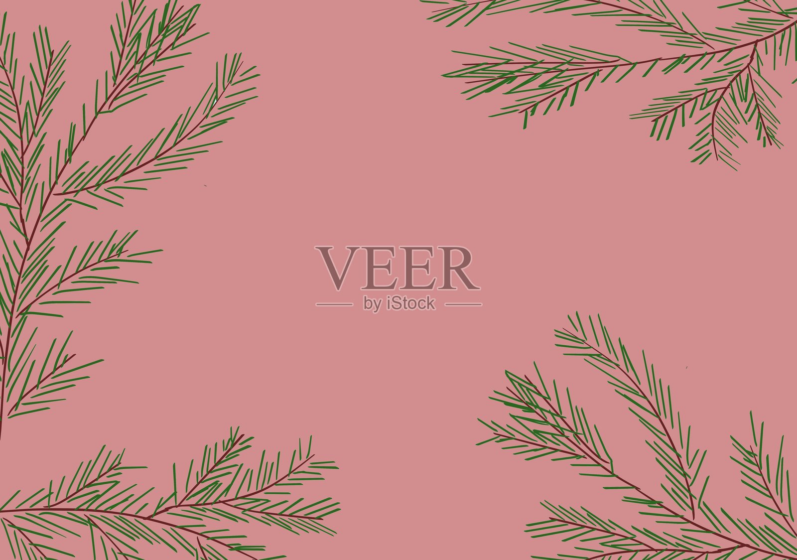 粉色柔和背景上的绿色圣诞树枝形成一个框架。圣诞树枝。节日新年插图。照片摄影图片