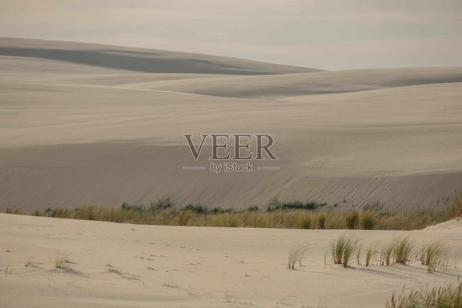 移动的山脉:莱巴的波罗的海壮丽沙丘照片摄影图片