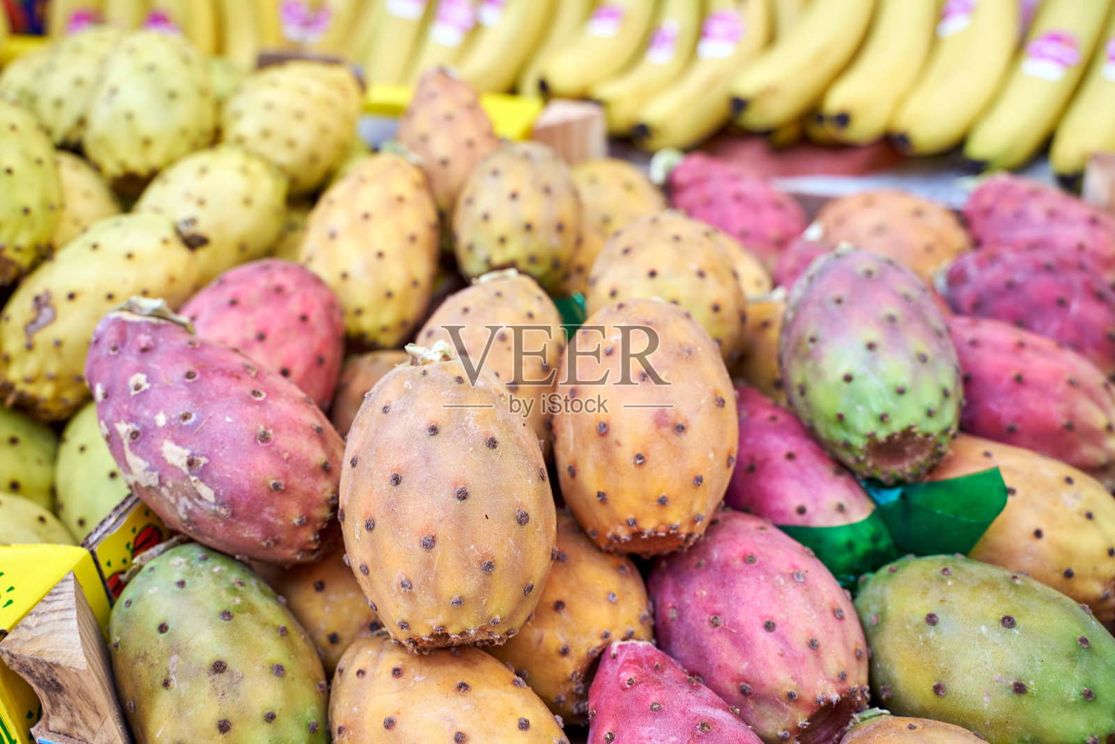 新鲜的仙人掌果照片摄影图片