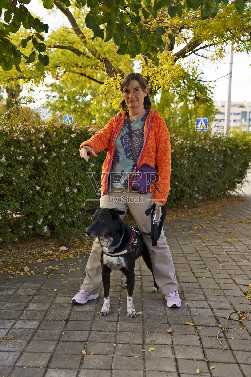 带着服务犬的女性在铺砌的小路上照片摄影图片