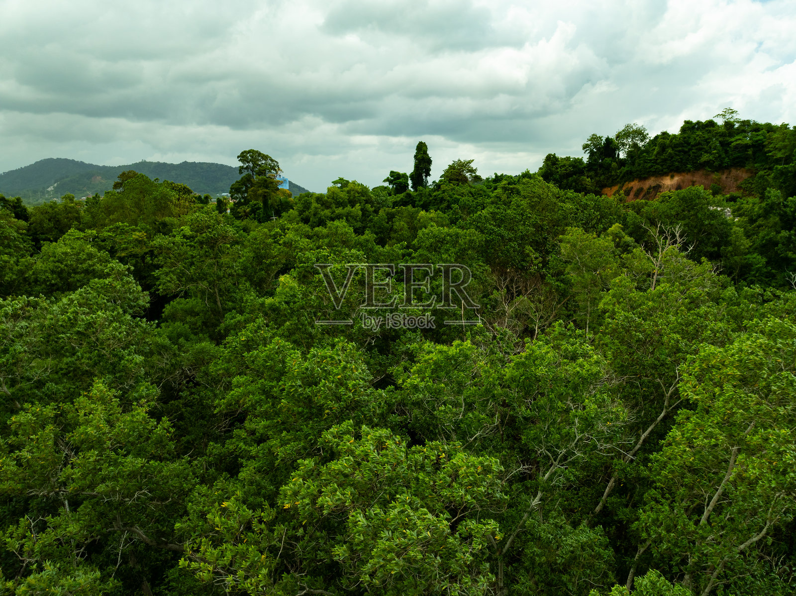 热带雨林树木和山脉的鸟瞰图,绿色森林背景的俯视图照片摄影图片