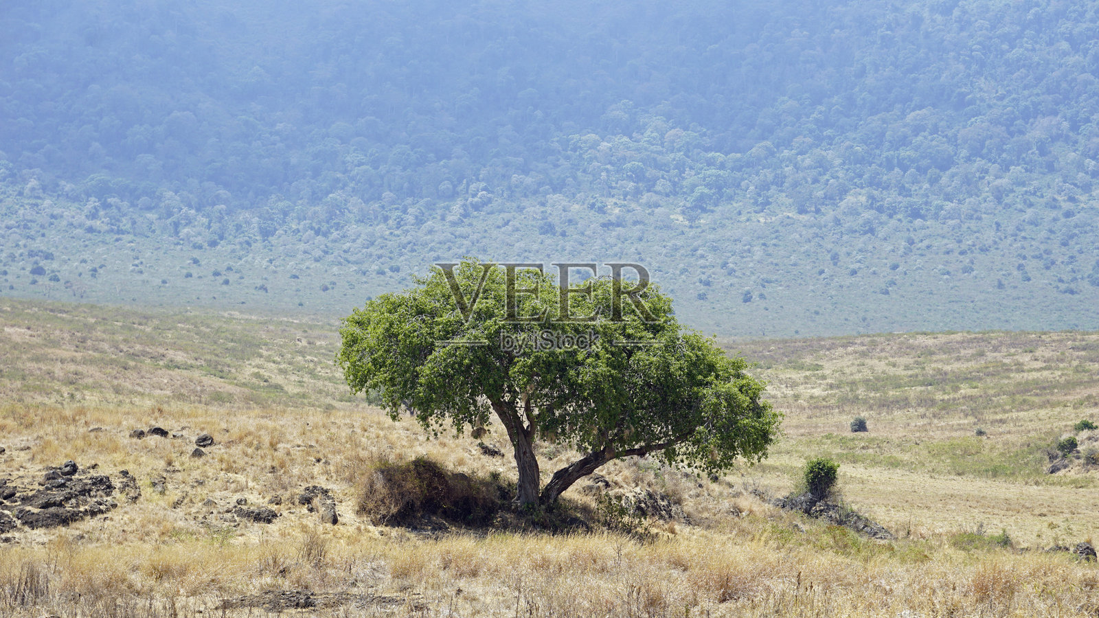 坦桑尼亚风景照片摄影图片