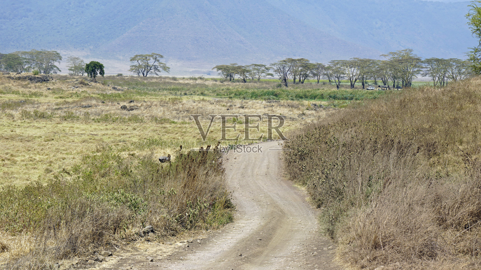 坦桑尼亚风景照片摄影图片