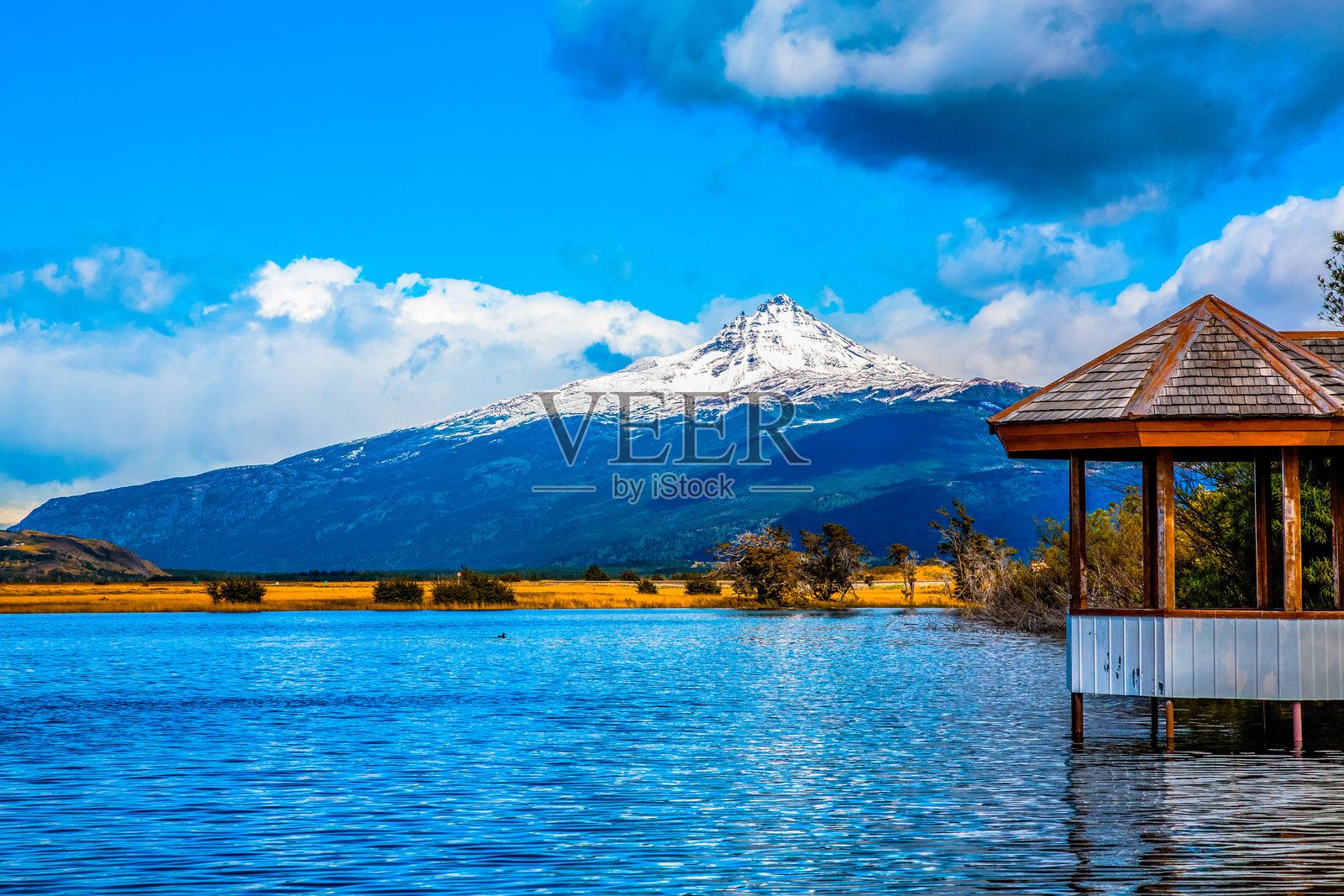 智利的托雷斯德尔潘恩国家公园 - 自然与野生动物照片摄影图片