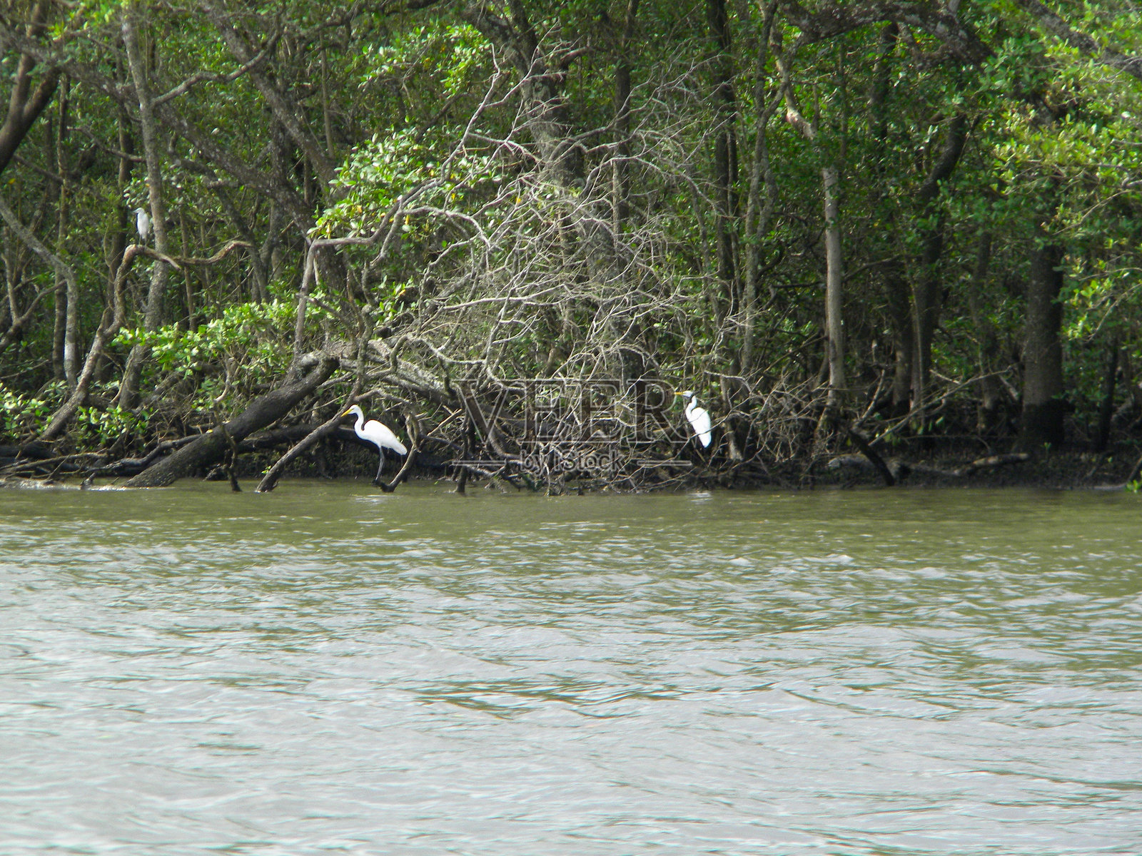 巴比通加湾照片摄影图片