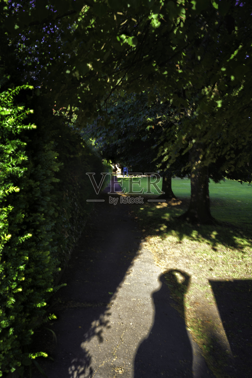 当我举起相机拍照时的影子。照片摄影图片