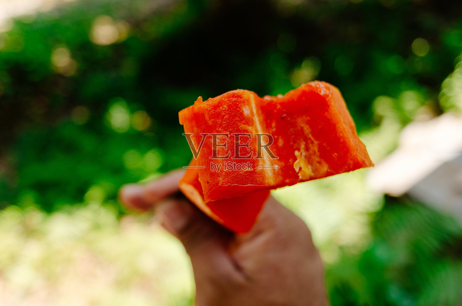 亚洲甜木瓜照片摄影图片