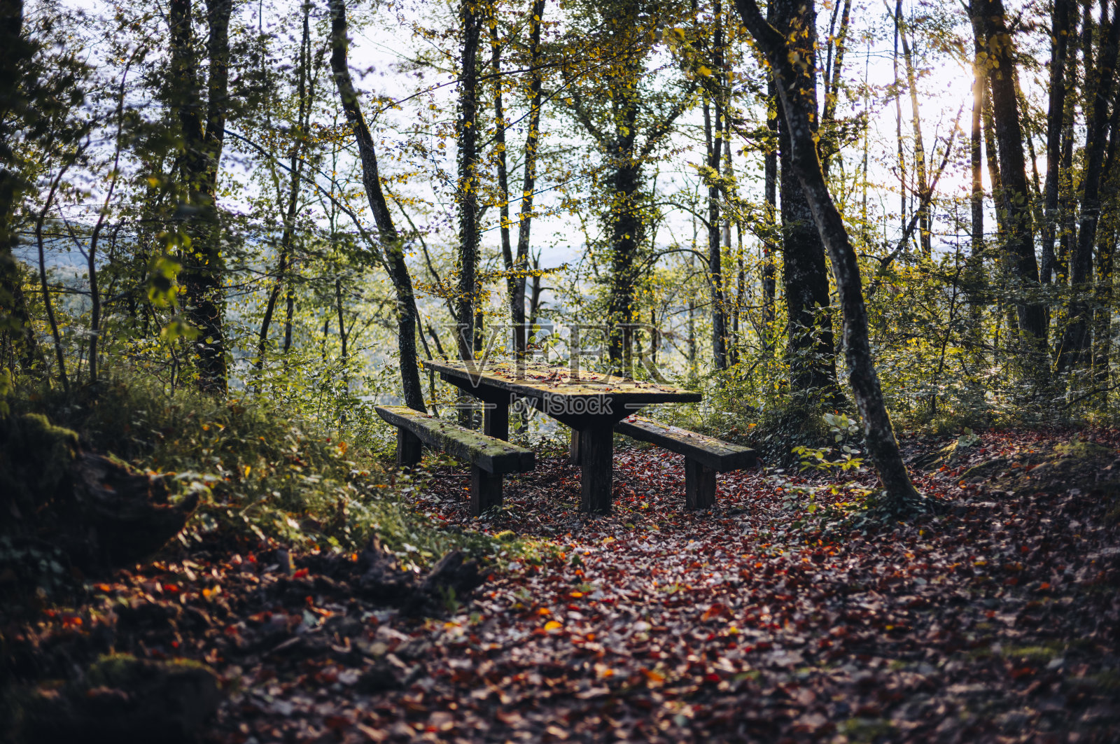 漫游瑞士恩嘎丁阿尔卑斯山照片摄影图片